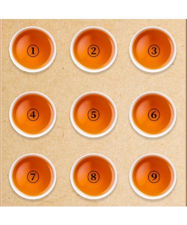 HQZM Xinhui Small Green Mandarin Puerh RipeTea 250g*2 Glossy and Round Choice of Quality 1764oz - Buy Online on GoSupps.com