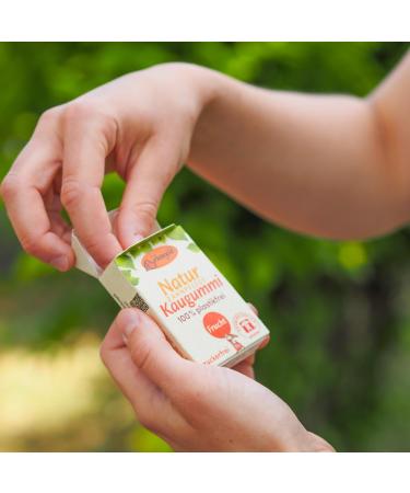 Buy Birkengold Nature Disch Calition Chumpory - Plastic-Free Sugar-Free Fruit Chews (12x28g) | Natural Cauch (Chicle) | Certified Natural Cosmetics - Buy Online on GoSupps.com