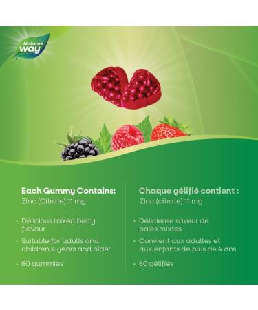 Nature's Way Zinc Gummies - Immune System Support Mineral Supplement Maintain Healthy Bones Hair Skin and Nails - Vegetarian Gummies for Kids 4+ and Adults - Mixed Berry Flavour 60 Gummies - Buy Online on GoSupps.com