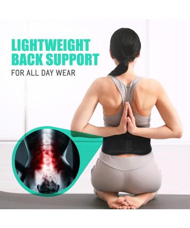 AllyFlex Sports Back Brace for Lower Back Pain - Adjustable Slim Fit Lumbar Support Belt with 3D Pads | Breathable Back Support Belts - Medium (Pack of 1) - Buy Online on GoSupps.com