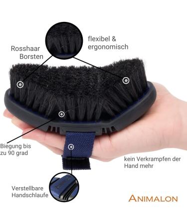 Animalon Kard tsche for Dogs | Natural Bristle Brush for Short Hair | Gentle Fur Care | Innovative Dog Grooming Tool (Small Blue) - Buy Online on GoSupps.com