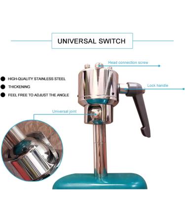Buy Dental Phantomkopf Model - Realistic Dental Simulator with 28 Resin Teeth & 7 Pulp Cavity for Dentists & Assistants | International Shipping - Buy Online on GoSupps.com