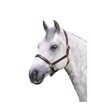 Shires Ragley Lined Leather Headcollar: Havana: Cob Havana Cob