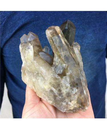 1.38LB Natural Smoky Citrine Quartz Cluster Crystal Specimen DB3300 Crystal Cluster - Buy Online on GoSupps.com