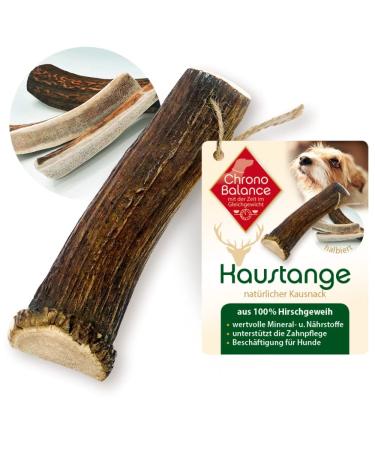 Chronobalance S antlers for dogs halved pieces of play stuff: dental care Caustab from 100% deer antlers dog toys for dental hygiene chewing bones sustainable without chemistry S - 1 piece - Buy Online on GoSupps.com