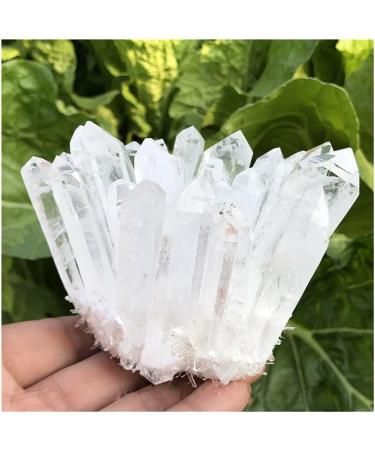 Stone Crafts 1pc Natural Crystals Clear Quartz Cluster Freeform Reiki Stones Room Home Office Aquarium Decoration Accessories Gemstone Home Goods (Size : 300-350g) - Buy Online on GoSupps.com