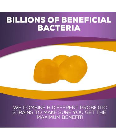Nature's Nutrition Daily Probiotic Gummies - Extra Strength 5 Billion CFU for Digestive Health & Immune Support - 60 Gummies, Natural Orange Flavor - Gluten Free & Non-GMO - Buy Online on GoSupps.com