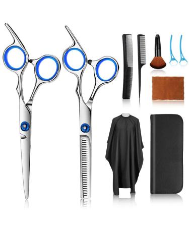 Hair Cutting Scissors Kits, 10 Pcs Stainless Steel Hairdressing Shears Set Professional Thinning Scissors For Barber/Salon/Home/Men/Women/Kids/Adults Shear Sets Silver