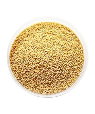 Foxtail Millet Seeds - 100g