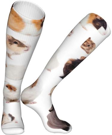 Guinea Pig Compression Socks for Men & Women | 15-20 mmHg Support for Running & Cycling - Buy Online on GoSupps.com