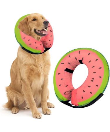 Buy Ducomi Inflatable Dog & Cat Hinges - XL Watermelon | Post-Op Relaxation & Protection | International Shipping Available - Buy Online on GoSupps.com