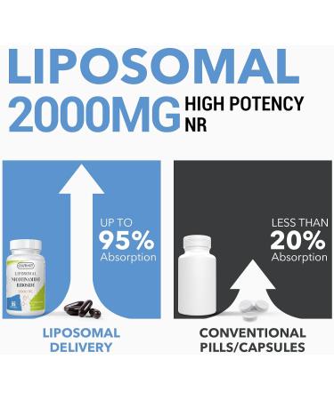Coutihot Liposomal Nicotinamide Riboside TMG & Trans-Pterostilbene 2000MG Ultra Pure NR Supplet Highest bioavailability (60 Count) - Buy Online on GoSupps.com