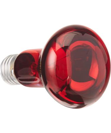 Trixie 76096 Infrared Heat Spot Lamp - 75W 100mm - Ideal for Pet Heating & International Shipping - Buy Online on GoSupps.com