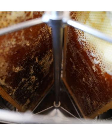 L'Abella Mel - 100% Natural Lemon Honey | Pure Organic Bee Honey Hand Harvested in Spain Gluten Free - 500g - Buy Online on GoSupps.com