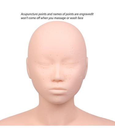 T te de Mannequin de Massage avec paules Points D'acupuncture Int gr s Mat riau de qualit Sup rieure pour Entra nement de beaut Pratique de L'acupuncture - Buy Online on GoSupps.com
