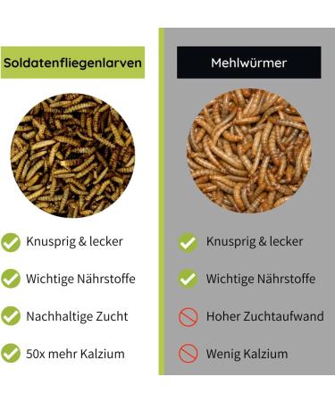 Premium Soldier Fly Larvae 5kg - Nutritious Food for Birds Fish Rodents Reptiles & Hedgehogs Ideal Alternative to Mealworms - Buy Online on GoSupps.com
