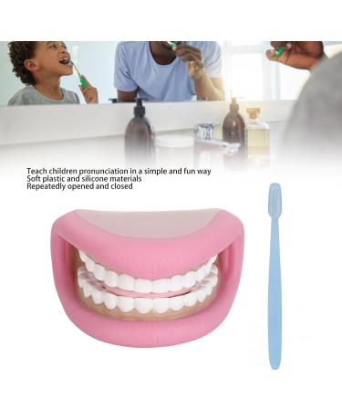 Model Teeth with Tongue - 28 Teeth Children's Tooth Model for Dental Care Demonstration & Teaching Tool - Buy Online on GoSupps.com