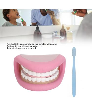 Children's Dental Care Model - Interactive Mouth Doll with 28 Teeth & Toothbrush for Teaching Brushing Skills - Buy Online on GoSupps.com
