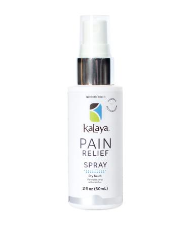 Kalaya Pain Relief Spray - Fast-Acting Quick-Drying Muscle Rub for Joint Pain Relief and Muscle Pain - with Eucalyptus Menthol Methyl Salicylate Camphor - Ideal for Easing Back Pain - 2 oz