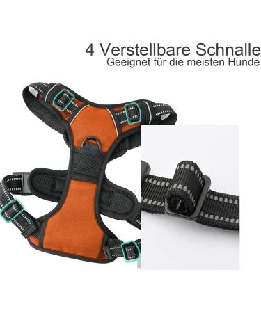 No Pull Dog Harness Adjustable Breathable Reflective & Soft Padded Ideal for Small Dogs | International Shipping - Buy Online on GoSupps.com