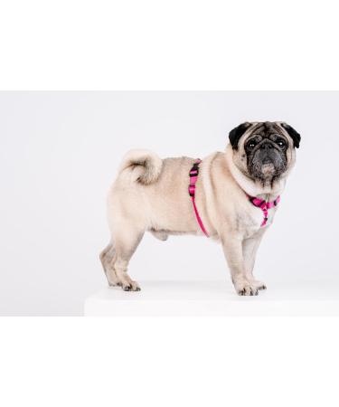CHABA Medium Dog Harness - Anti-Pull Adjustable & Comfortable Step-In Design for Running - Classic Control Harness in Fuchsia & Pink - Buy Online on GoSupps.com
