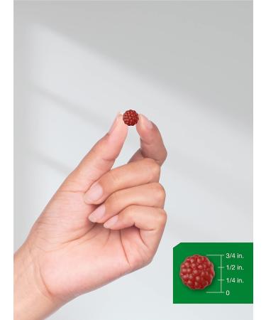 Sambucus Black Elderberry Gummies with Zinc and Vitamin C - 60 Count | Vegan, Non-GMO, Gluten Free Extract for Adults | Natural Berry Flavor by Horbaach - Buy Online on GoSupps.com