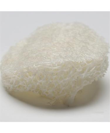Natural Facial Loofah Cleansing Pads - Exfoliating Skin Scrub - 18 Pack - Buy Online on GoSupps.com