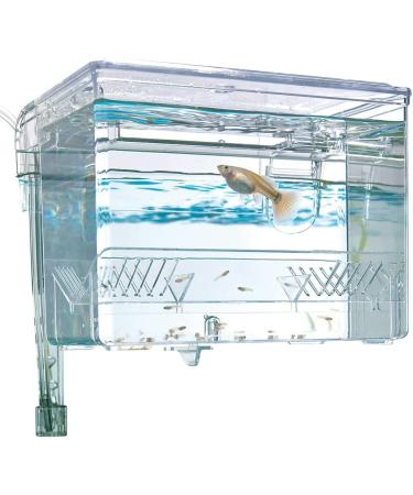 Fluval Medium Multi-Chamber Holding and Breeding Box - Ideal for Fish Breeding and Holding - Buy Online on GoSupps.com
