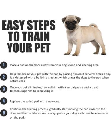 BV Pet Puppy Training Pads | Quick Absorb 22x22 Training Pads | Disposable Dog Pee Pads | 50/100/600 Count - Buy Online on GoSupps.com