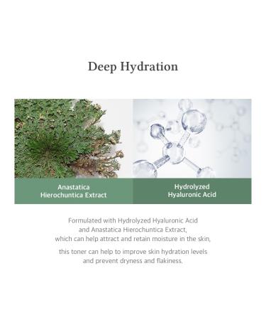 Dr. Althea Fresh Deep Noni Toner & Lotion - Hydrating Vegan Formula for Acne Dark Spots & Fine Lines with Hydrolyzed Hyaluronic Acid - Buy Online on GoSupps.com