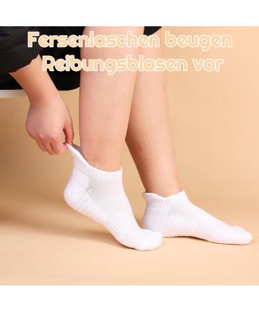 Yamitora 5 Pairs Sneaker Socks for Men & Women (Sizes 37-42) - Cotton Sports & Running Socks for Leisure - White - Buy Online on GoSupps.com