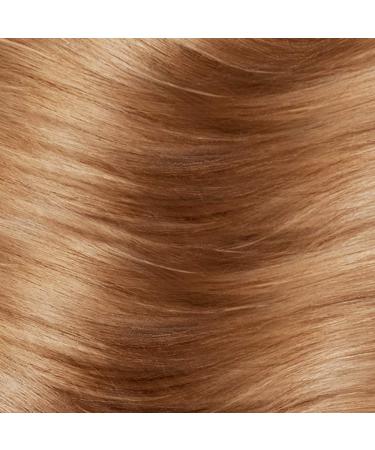 L'Oreal Paris Excellence Age Perfect 6N Light Soft Golden Brown - Layered Tone Color - Buy Online on GoSupps.com