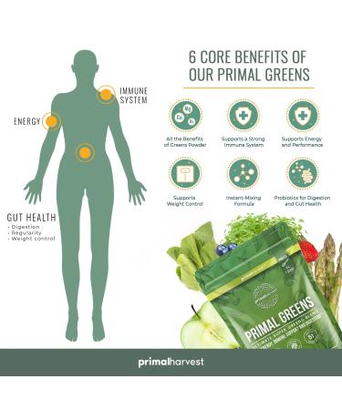 Primal Harvest Super Greens Powder - 30 Servings with 50+ Superfoods for Energy Boost - Green Tea, Chlorella, Probiotics, Kale, Turmeric - Primal Greens Green Powder - Buy Online on GoSupps.com