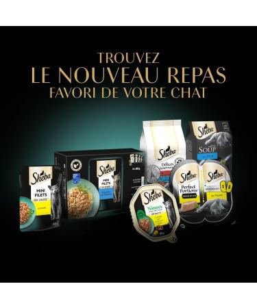 Sheba Sauce Collection Fresh Sachets Wet Food Fish Selection for Adult Cat 4 Varieties 40x85g - Buy Online on GoSupps.com