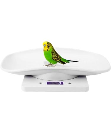 Nachukan Digital Pet Weight Scale - 10kg/1g Measure Tool for Cats Dogs Puppies and Small Animals - Electronic Kitchen Scale - Buy Online on GoSupps.com