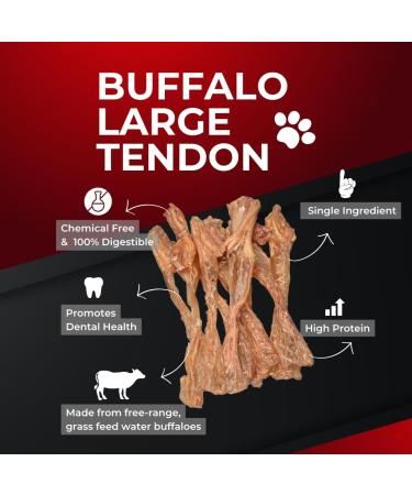 Buffalo Large Tendons (7-11 inches) - 100% All-Natural Single Ingredient Grass-Fed Free-Range Premium Buffalo Dog Chews - Air Dried Healthy Dog Treats (7-11 Inches 10 Count) 10 count (Pack of 1) 10 - Buy Online on GoSupps.com