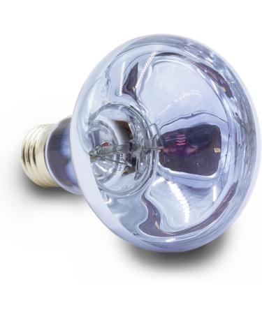 Terra Exotica Neo Spot: UV Heat & Light Reflector for Terrariums (25W-150W) - Perfect for Terrarium Dwellers - Buy Online on GoSupps.com