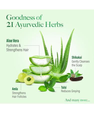 Kesh King Ayurvedic Shampooing anti-chute 300 ml Aloe & 21 herbes R duit la chute des cheveux sans paraben ayurv dique pour tous les types de cheveux pack familial avec Kajal 300 g (Lot de 1) - Buy Online on GoSupps.com