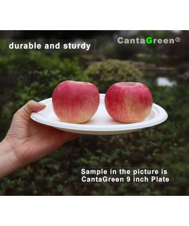 CantaGreen 12oz Compostable Bowls - 100 Count | Heavy Duty Biodegradable Disposable Paper Bowls - Buy Online on GoSupps.com
