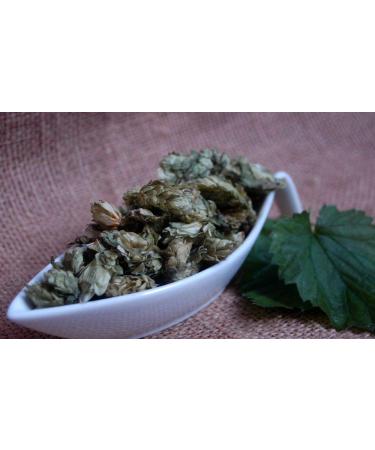 Krauterino24 Krauterino24 - Hop flowers 1st choice - Quantity: 250 g