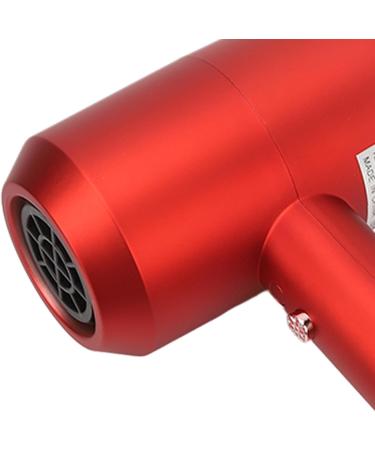 1800W Hair Dryer with Ion Tech Even Heating U Wire Overheat Protection Dual Nozzle for Fast Drying Removable Filter for Easy Maintenance (US Plug 110V) - Buy Online on GoSupps.com