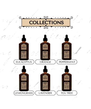 Abner Royce Essential Oil Since 1879 Heritage Collection Undiluted & Steam-Distilled for Home & Personal Use 60ml (Tea Tree) - Buy Online on GoSupps.com