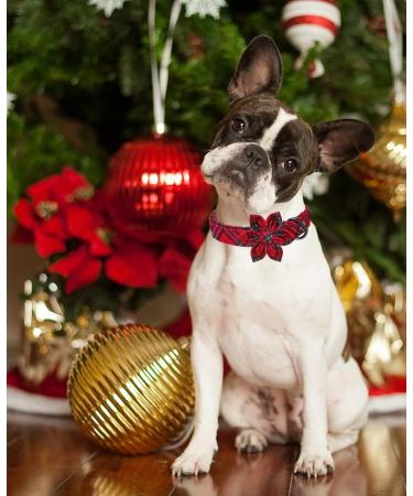 Shop Aring Pet Christmas Dog Collar - Adjustable Soft Cotton Red Plaid with Flower | Festive Red-Black Checkered Design - Buy Online on GoSupps.com