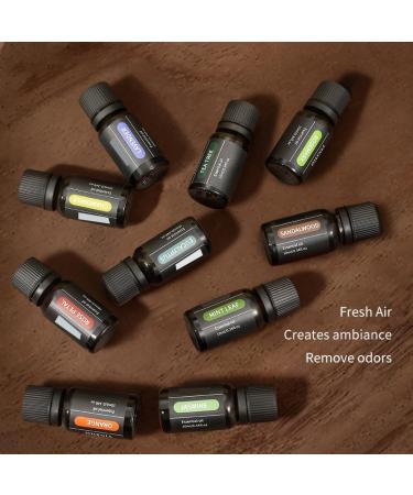 Botanical Aromatherapy Essential Oil Oily Aromatherapy Essential Oil Suitable for Diffuser Massage Bath Spa Skin and Hair Care 0.33oz (JasmineEssentialOil 0.33 FlOz (Pack of 1)) - Buy Online on GoSupps.com