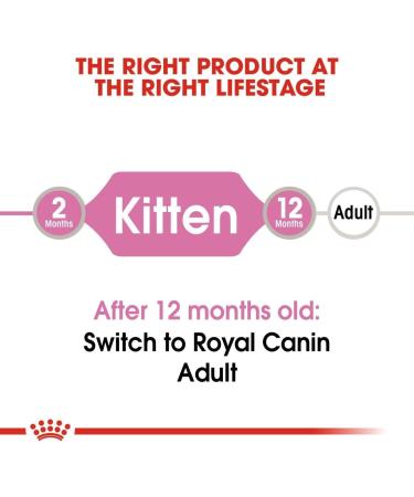Royal Canin Kitten in JELLY Wet Adult Cat Food (24 x 85g) - Buy Online on GoSupps.com