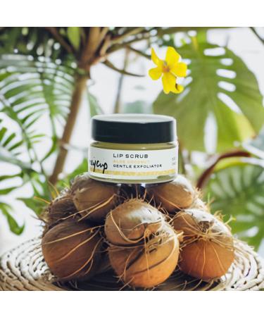 Coconut Lip Scrub 0.5 oz | Natural Sugar Exfoliator Moisturizing Coconut Oil Vegan & Cruelty-Free Eco-Friendly Gift for Self-Care - Buy Online on GoSupps.com
