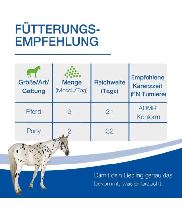 Nutrilabs Synbiotix Powder for Horses - 800g Digestive Supplement for Intestinal Health | Natural Darmflora with Yeast & Alante - Buy Online on GoSupps.com