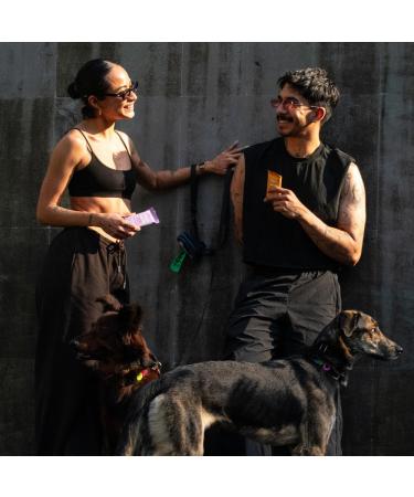 Feel Vegan Protein Bars, Variety Pack, Adaptogenic Snack, Keto, Gluten Free, Organic, 15g Protein, Low Carb, Dairy Free, 6 Flavors, Non GMO, Soy Free, Grain Free 6 Pack Variety Pack 1 Count (Pack of 6) - Buy Online on GoSupps.com