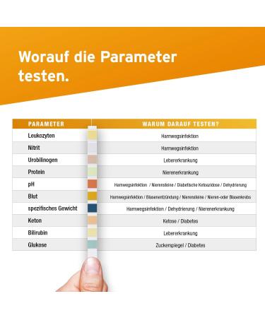 Buy 100 x Aydmed 10-Parameter Urine Test Strips - Accurate Urine Analysis for Leukocytes Nitrite Protein & More - Fast International Shipping - Buy Online on GoSupps.com