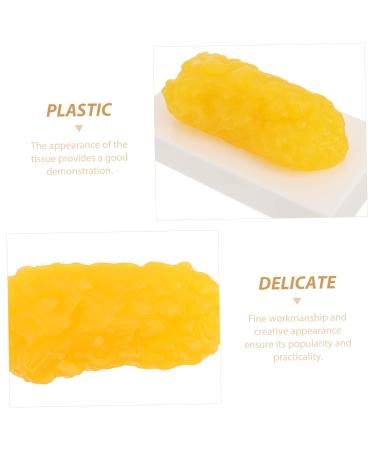 ULTECHNOVO 2pcs Fat Model Plastic Demonstration Device Plastic Anatomical Fat Birthday Headband Body Fat Module - Buy Online on GoSupps.com
